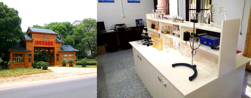 午夜免费电影三所一院