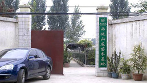 午夜免费电影山莊苗木基地午夜免费电影山莊苗木基地