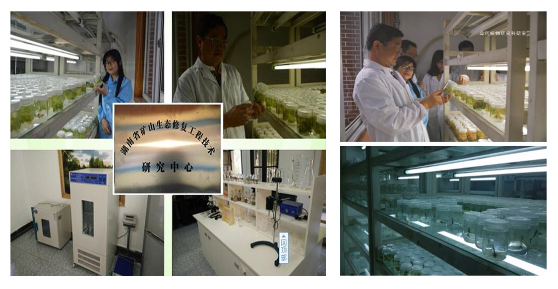 湖南省礦山生態午夜天堂网技術研究中心