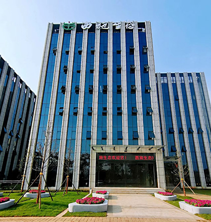 午夜免费电影生態