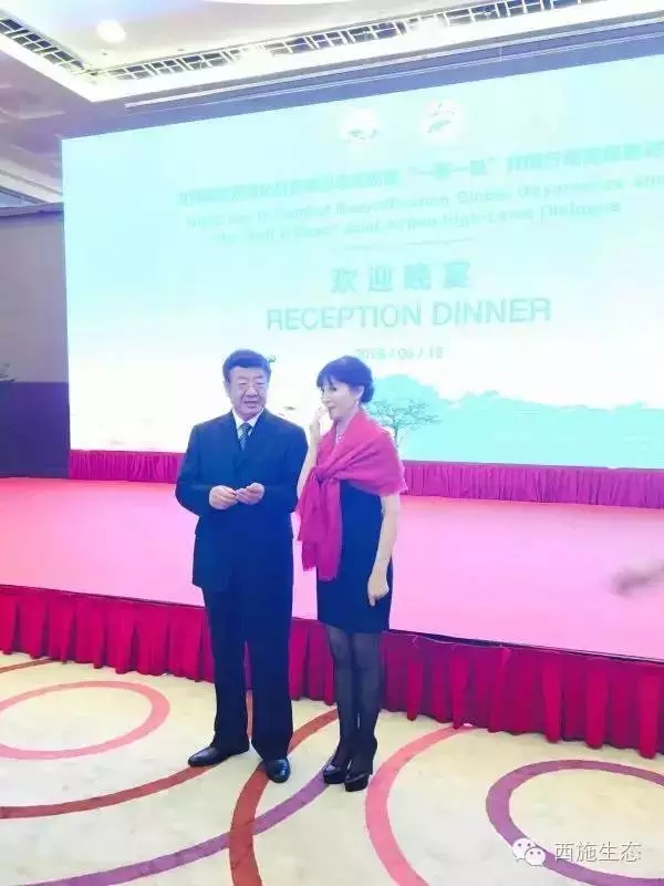 617.....webp 617.....webp