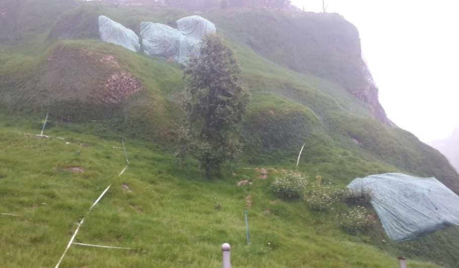 桂陽午夜天堂网2個月