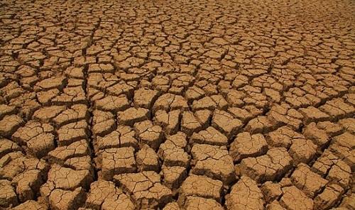 土壤午夜天堂网1