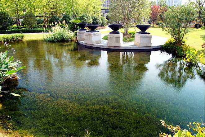 水生態午夜天堂网2