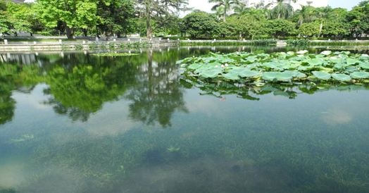 水生態午夜天堂网3