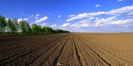 土壤午夜天堂网3