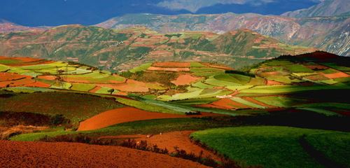 土壤午夜天堂网4