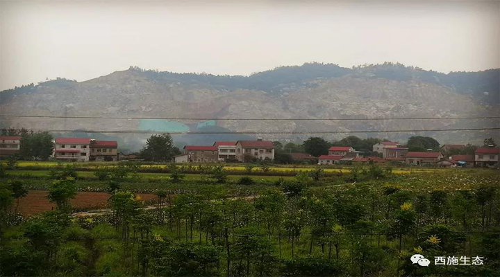 午夜免费电影生態華容縣考察2