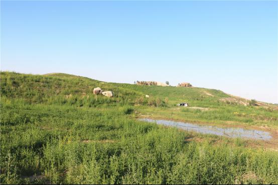 紮魯特礦山午夜天堂网後