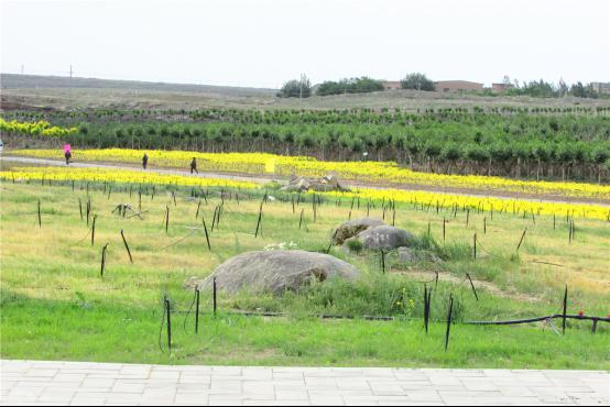白雲鄂博礦山午夜天堂网後