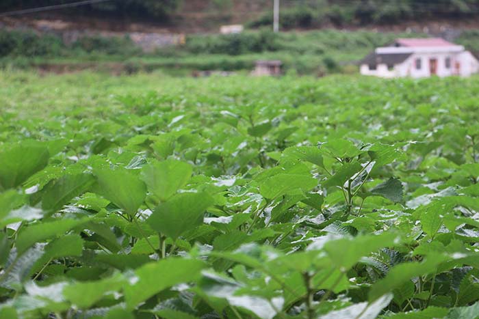 2019官網 2019官網