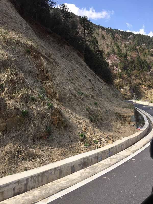 大熊山項目午夜天堂网前1