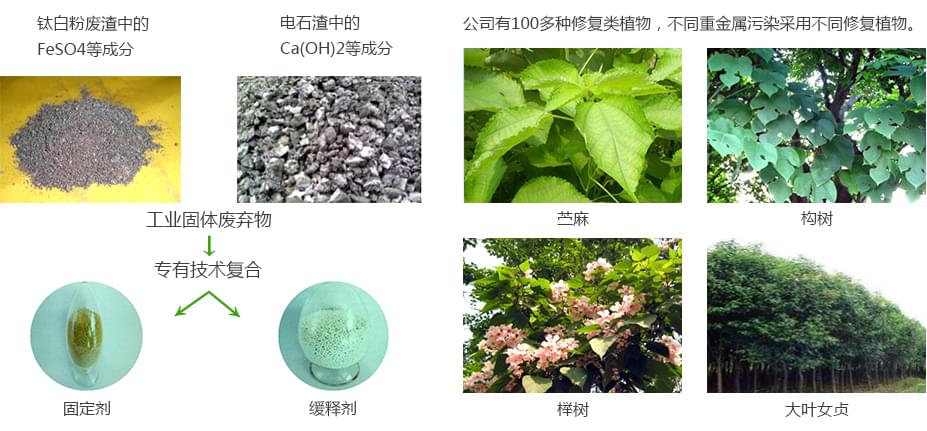 重金屬汙染土壤午夜天堂网項目產品