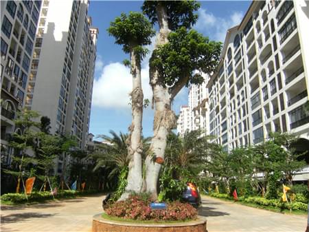 文昌美蘭海岸02 文昌美蘭海岸02