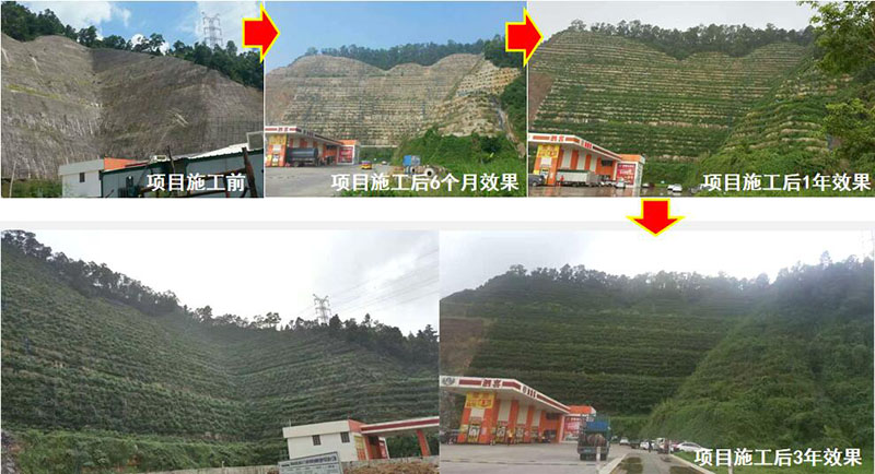 珠海市鬥門區山體邊坡生態午夜天堂网