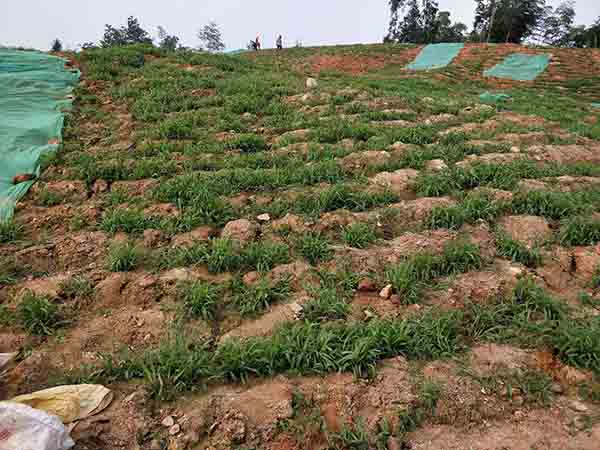 大義山午夜天堂网中１