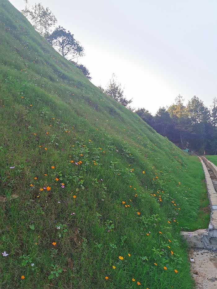 午夜天堂网後1guangw