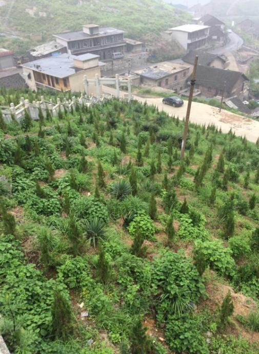 冷水江錫礦山午夜天堂网中1