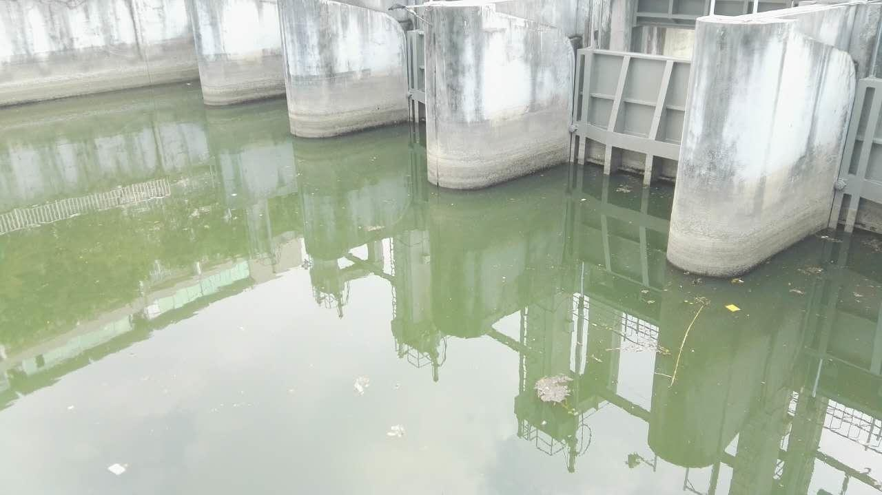 深圳市新洲河出海口河道生態午夜天堂网汙水處理